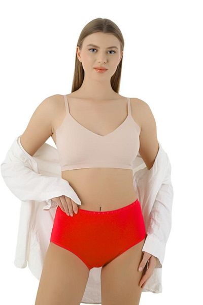CNT High Waist Ribbed Women's Bato Panties - Pack of 3