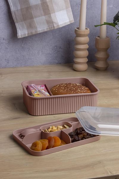 Okyanus Home Powder Striped Lunch Box 5 Compartments Lunch Box with Fork and Spoon Transparent Lid
