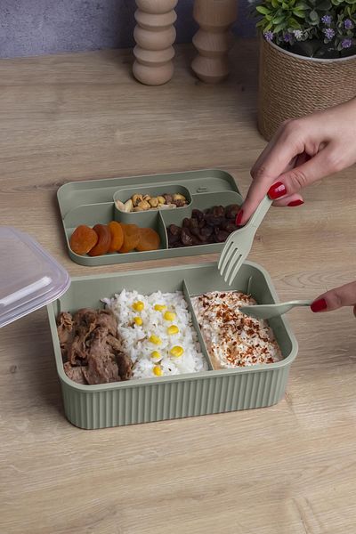 Okyanus Home Green Striped Lunch Box 5 Compartments Lunch Box with Fork and Spoon Transparent Lid