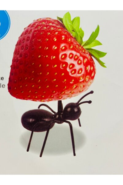 aysequlce 6lı karınca kahvaltı sunumu - yemek sunum atıştırmalık