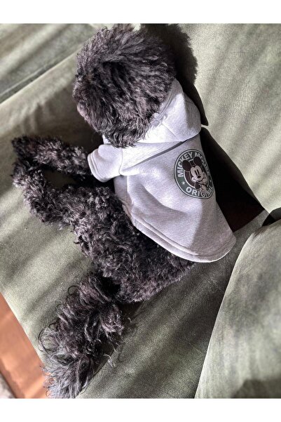 Mickey Mouse Mickey Gri Köpek Sweati