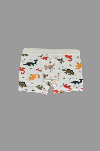 MADALİNA Boy's 95% Cotton Elastic Waist Dinosaur Patterned Set of 4 Boxers
