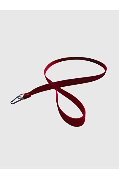 shop طوق مشي للكلاب