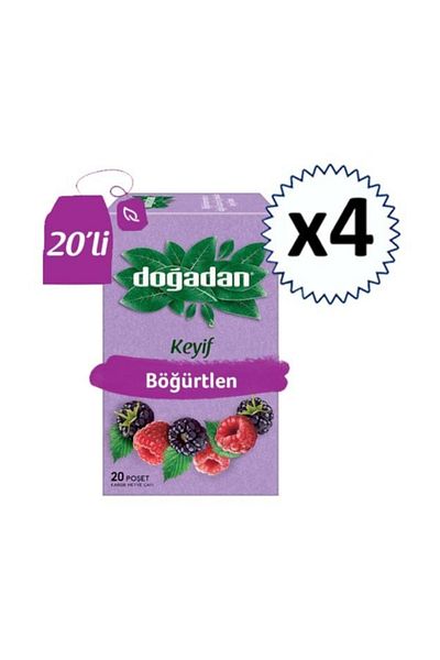 Doğadan 4 قطع من شاي الفواكه والتوت الأسود - عبوة من 20 قطعة