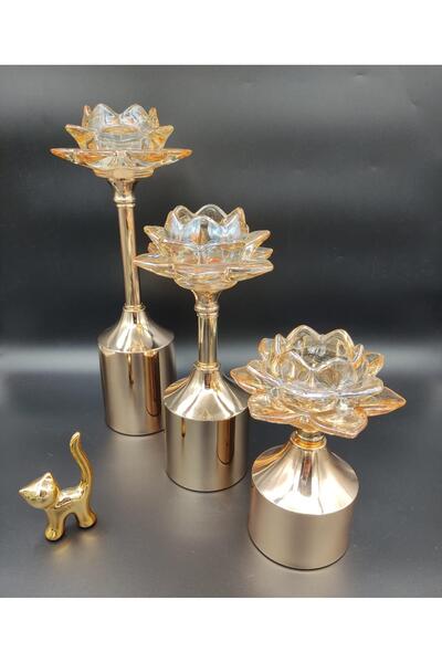 AC STORY ÜÇLÜ GOLD ŞAMDAN