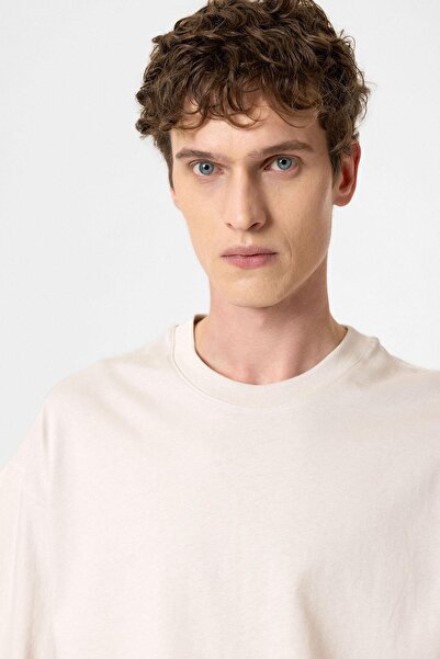 Antioch Stone Crop Fit Men's T-Shirt