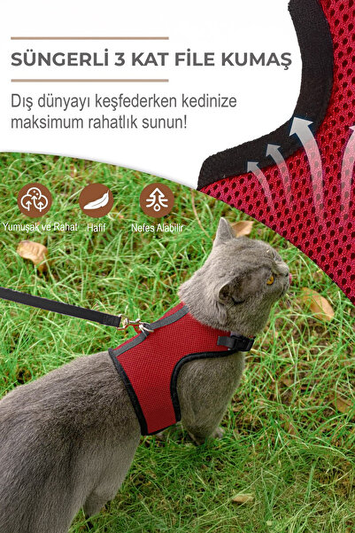 nefertiti cosmetic 3 Kat File Yeni Nesil Nefes Alabilen Kedi Göğüs Tasma 2'li Set Kırmızı