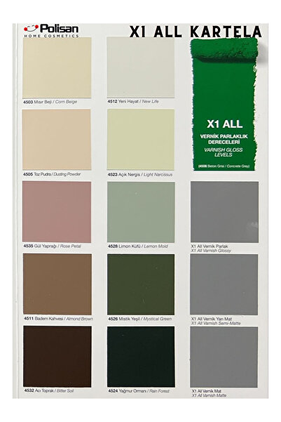 Polisan X1 All ile İstediğini Boya-Çizilmez-Kokusuz-Yıkanabilir Dönüşüm  Boyası 0.75lt
