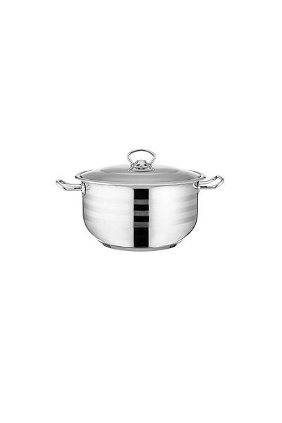 Dania Stainless steel cooking pot 24 cm