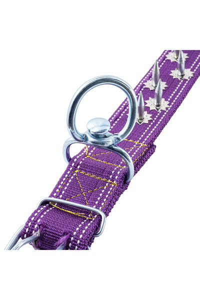 SAVEX Woven Studded Dog Collar - 5*80 cm - Purple