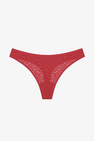 Penti Lace Lace 3-Piece Multicolor Thong Panties