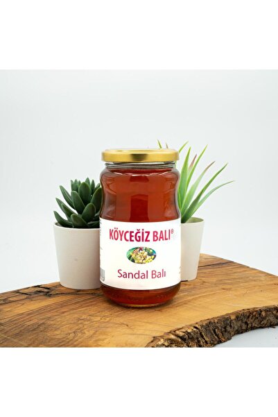 kb köyceğiz balı Sandal Balı 450 G Cam Kavanoz