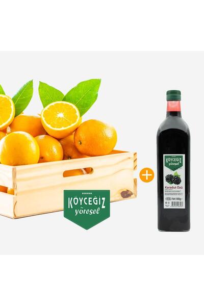 kb köyceğiz yöresel Köyceğiz Portakalı 4 Kg + Köyceğiz Yöresel Karadut Özü 1 Kg