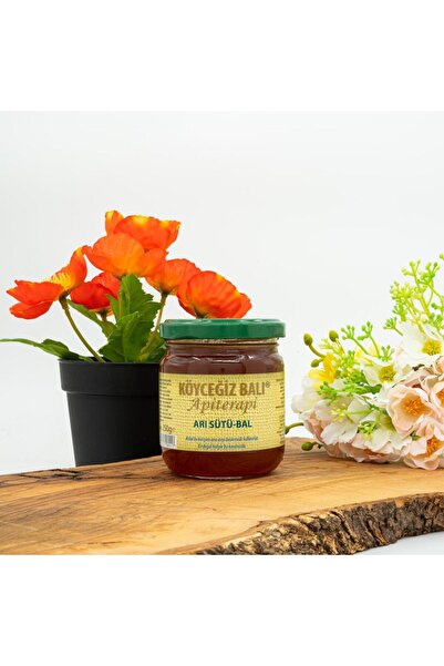 kb köyceğiz balı Arı Sütü Bal Karışımı 250 G Cam Kavanoz