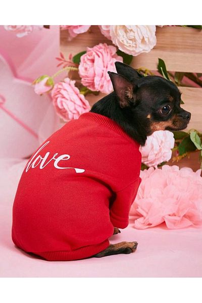 PetiliDünya Valentine's Day Cat & Dog Outfit