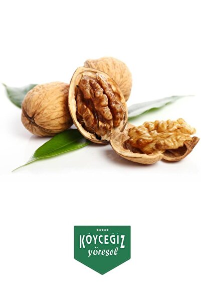Köyceğiz Yöresel Kb Köyceğiz Yöresel Köyceğiz Cevizi 1 Kg