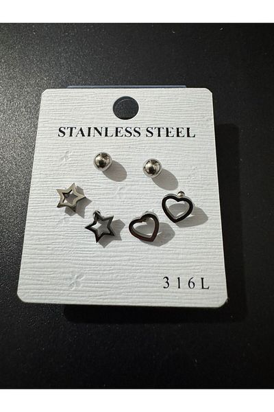 İYİ MODA 6Pcs 316L Stainless Steel Earrings Surgical Steel Design Gift Earrings