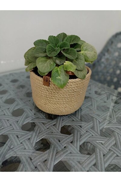 epncollection Hasır Saksılık Sepet