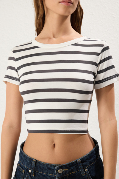 Trendyol Collection Premium Anthracite Striped Viscous/Soft Fabric Crop Crew Neck Stretchy Knitted Blouse Twoss23Bz00198