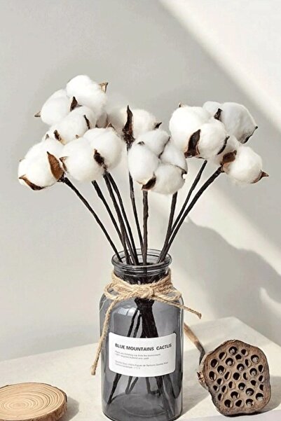 YAPAY ÇİÇEK DERYASI Φυσικά Λευκά Βαμβακερά Κλαδιά, Σετ 10 τεμαχίων, Πρόταση γ...