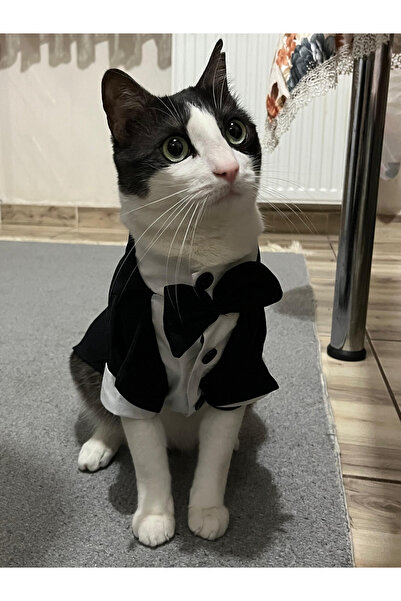 Gobo Black Bow Tie Tuxedo Groomsuit Cat and Dog Dress Gown Suit Xxlarge/Xxl/Size 5