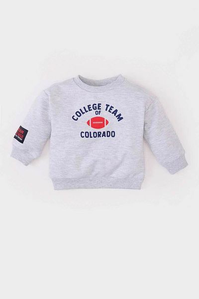 DeFacto Baby Boy Crew Neck Printed Sweatshirt E3674A525Sp