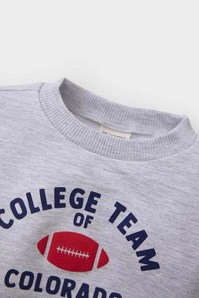 DeFacto Baby Boy Crew Neck Printed Sweatshirt E3674A525Sp