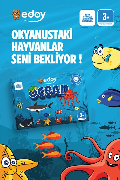 edoy Ocean Deniz Hayvanları Keşfi 16 Küp 48 Kart ile Hayvanları Bul, Eğlencey...
