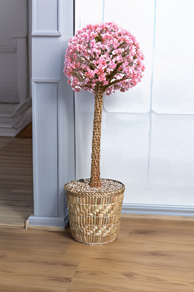 HAKİCİ Özel Üretim Çok Amaçlı Saksılık Doğal El Yapımı Hasır Saksı