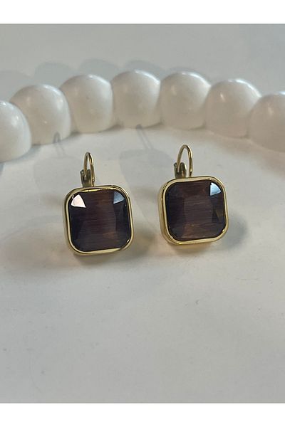 Sens Steel Plum Color Vintage Stone Earrings