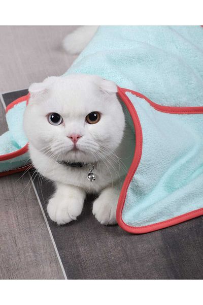 Lavin 3 Pieces Cat Dog Pet Drying Multi-Purpose Towel