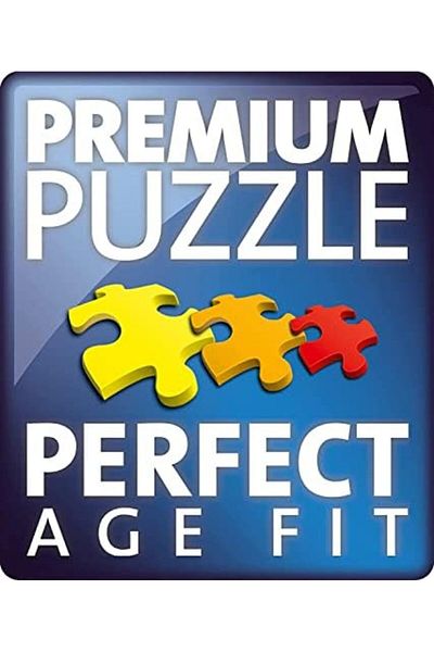 STOREMAX Cem Rpo 128716   300 Piece Jigsaw Puzzle Harr Y Potter Shop 1109836