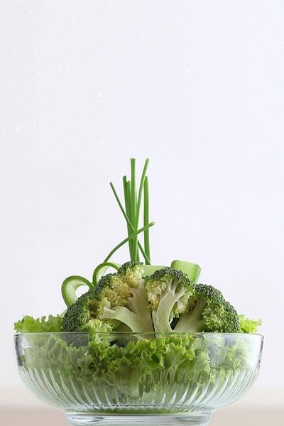 LAV Feyzade Tokyo Single Medium Size Bowl 1500Cc (Grey Cover)
