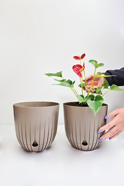 ATA HOME 2 Adet Büyük Boy Dekoratif Plastik Saksı Seti Çiçek Saksısı Masa Üst...