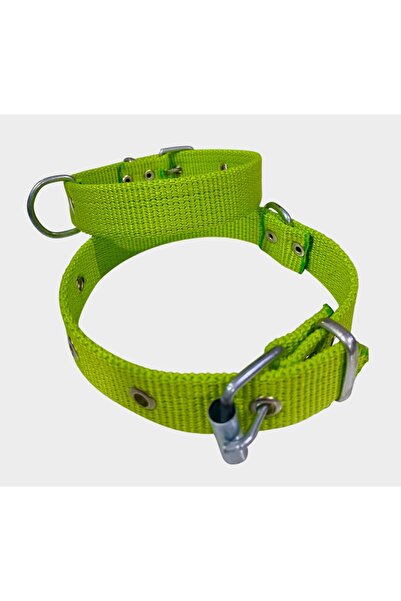 shop Küçük Boy Yavru Köpekler İçin Tasma