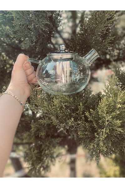 Qerhome Borosilicate Metal Lid and Metal Strainer Teapot 1000 ml