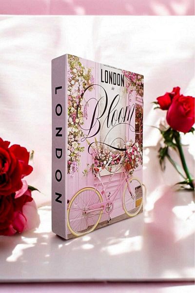 BayCazip Decorative Book Look Box Set of 2 Decorative Book Looking Box