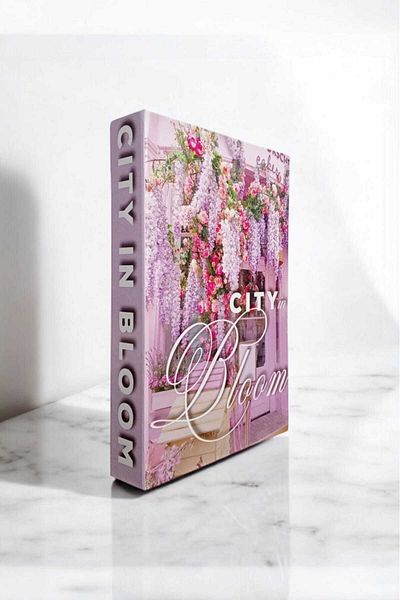 BayCazip Decorative Book Look Box Set of 2 Decorative Book Looking Box