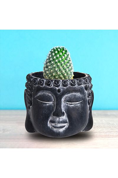 Homelux Buddha Pot, 16X16X12.5 cm, Cement, Black
