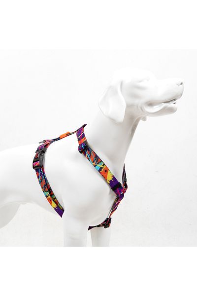 Tailpetz Splash H-Type Chest Neck Collar and Ship Strap Set 3 in 1