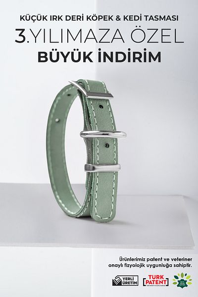 pasiole Dog Collar, Small Breed Dog and Cat Collar, Dog Collar