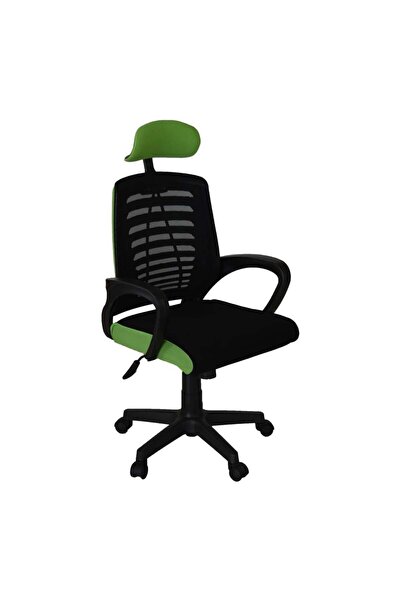Türksit Karizma File Müdür Koltuğu Plastik Ayak Siyah-F,Yeşil