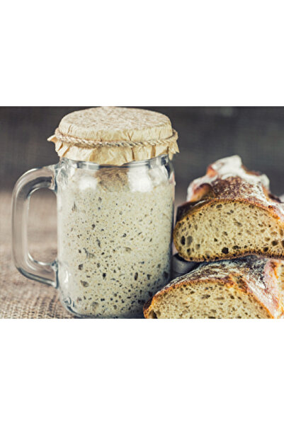 seren kitchen Doğanın Mayası 32 Yıllık Ekşi Maya 100 Gram