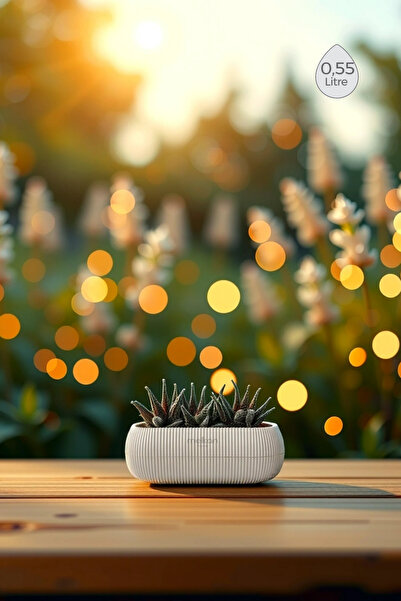 Melkan Home Modern Premium Mini Saksı 0,55L Kaktüs, Sukulent, Çiçek Saksısı D...
