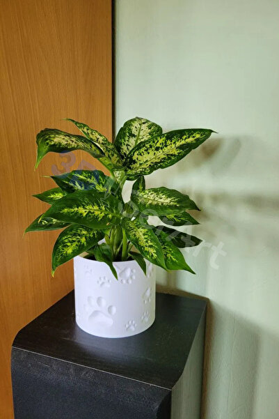 3D SerArt Sevimli Kedi Köpek Patili Saksı 14x14x12cm 3D Üretim