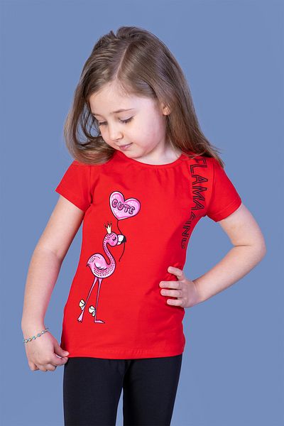 Toontoy Girl's Flamingo Patterned Stone Embroidered Printed T-Shirt