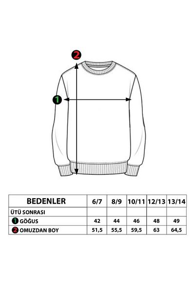 Toontoy Boy's Sweatshirt - With Crest Detail