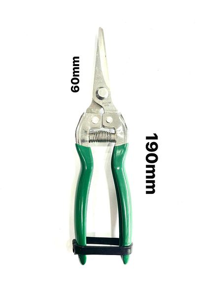 Worldtec 1. Quality Stainless Garden Plant Flower Grape Citrus Pruning Shears 19cm