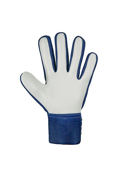 Reusch Attrakt Starter Solid Purify Gloves