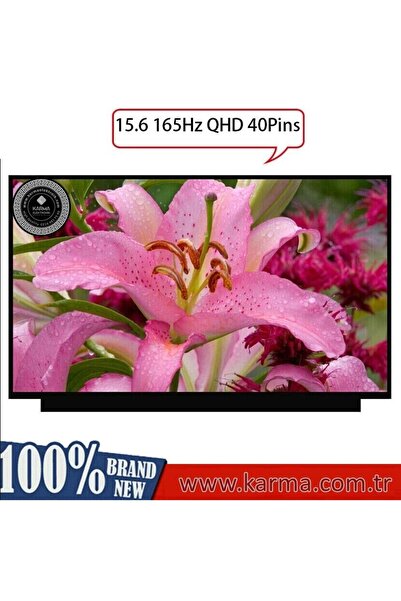 Afila Monster Tulpar T5 V21.1.2 LCD Ekran Panel 15.6 IPS 165Hz WQHD (2K QUAD HD)